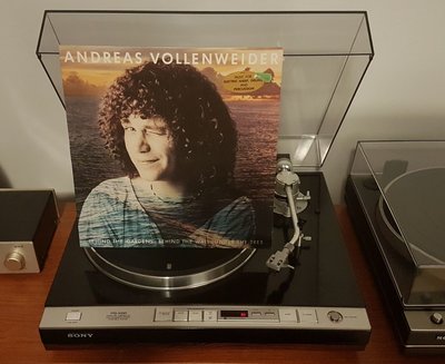 Andreas Vollenweider - Behind The Gardens - Behind The Wall - Under The Tree (GER 1981).jpg
