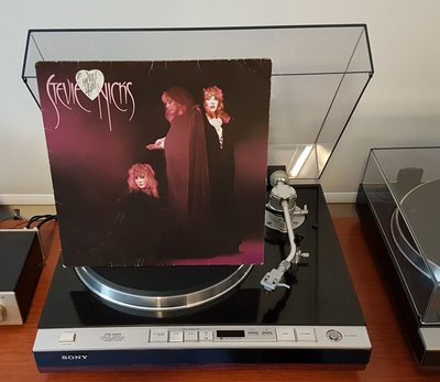 Stevie Nicks - The Wild Heart (GER 1983).jpg