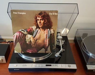 Peter Frampton - I'm In You (NL 1977).jpg