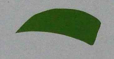 Bez nazwy1.jpg