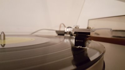 20171026_195238.jpg