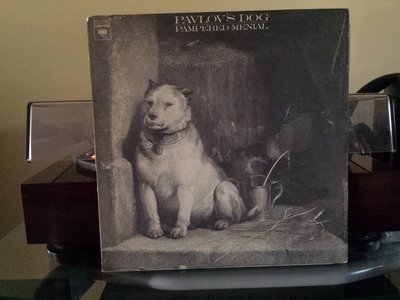 20171027_173735.jpg