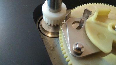 IMG_20171106_101937.jpg