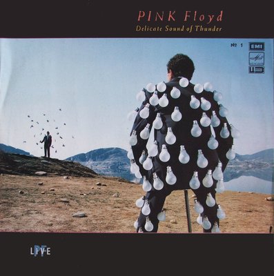 Pink Floyd ‎– Delicate Sound Of Thunder № 1.JPG