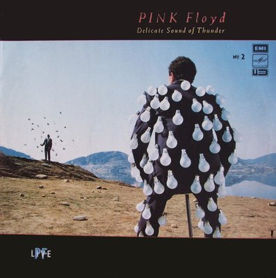 Pink Floyd ‎– Delicate Sound Of Thunder № 2.JPG