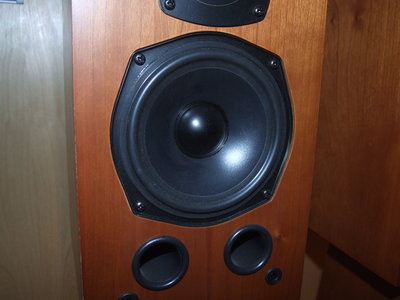 DSCF8013.JPG