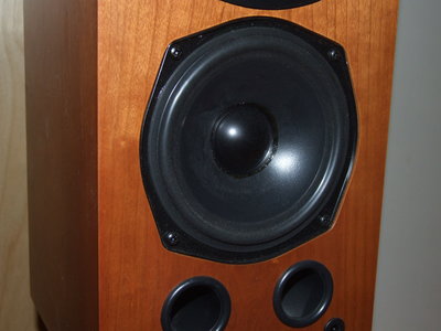 DSCF8015.JPG