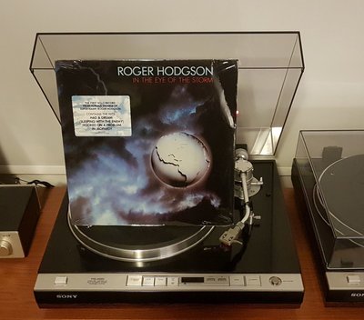 Roger Hodgson - In The Eye Of The Storm (US 1984).jpg