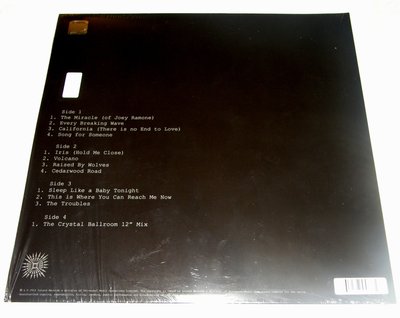U2 2014 Songs Of Innocence 2 lp B.jpg