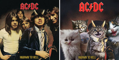 This-guy-created-very-cute-covers-of-the-music-world-replacing-singers-with-cats-5a2e628fb9671__700.jpg