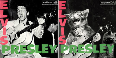 This-guy-created-very-cute-covers-of-the-music-world-replacing-singers-with-cats-5a2e806b81f81__700.jpg