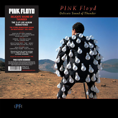 PinkFloydDelicateSound.jpg