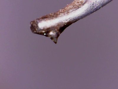 0204-52.jpg