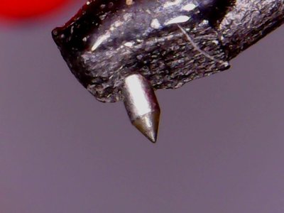 0204-55.jpg