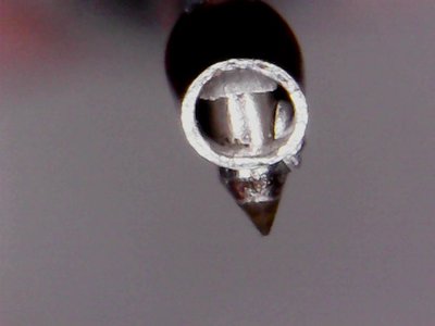 0205-4.jpg