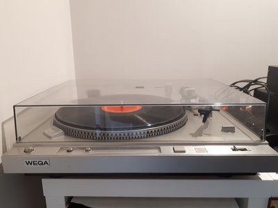 Suzanne Wega P550