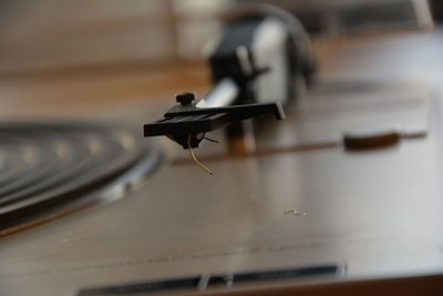 DSC_0598.JPG