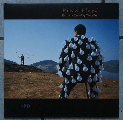 Pink Floyd - Delicate Sound Of Thunder 0.jpg