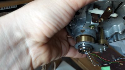 20180424_150755A.jpg