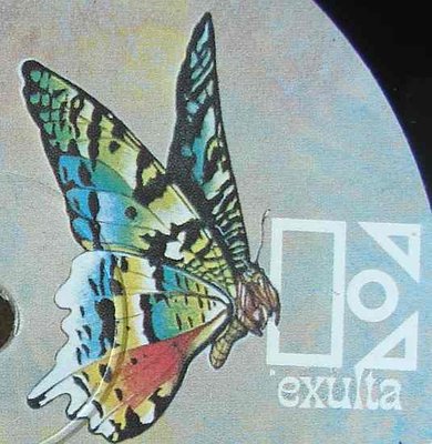 Exulta Butterfly - Germany.jpg