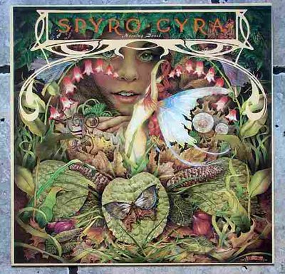 Spyro Gyra - Morning Dance 0.jpg