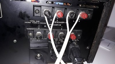 20180813_214631.jpg