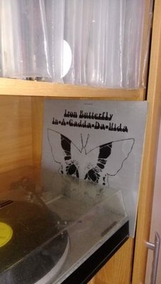 iron butterfly.jpg