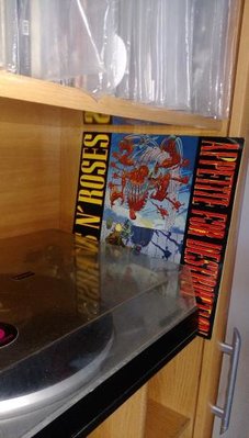 gnr.jpg