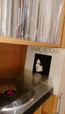 bolan.jpg