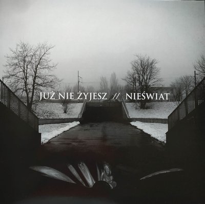 Już Nie Żyjesz - Nieświat.jpg