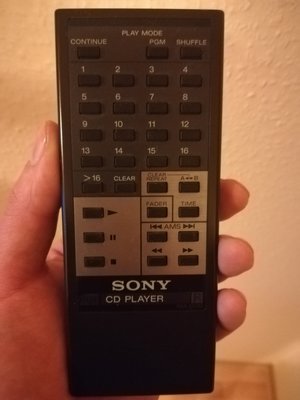 Sony Pilot.jpg