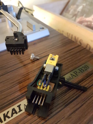 headshell.jpg