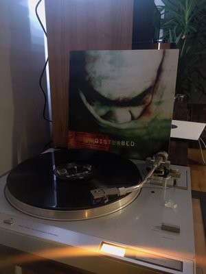 disturbed