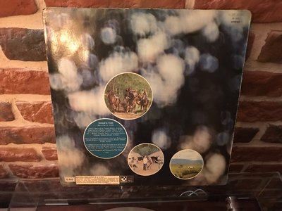 488CE741-4046-410B-BD37-4C52838BE78F.jpeg (185.41 KiB) Przejrzano 683 razy 488CE741-4046-410B-BD37-4C52838BE78F.jpeg