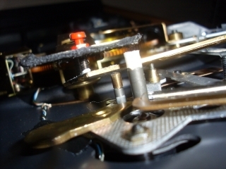 SL380427.jpg