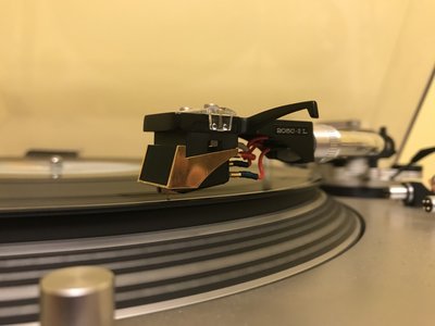 IMG_1009.JPG