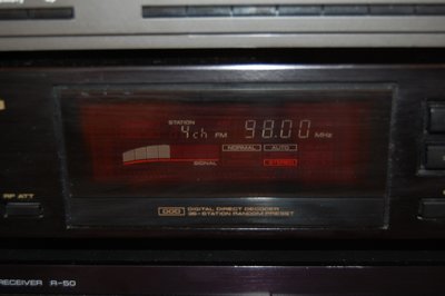 DSC_0446.JPG