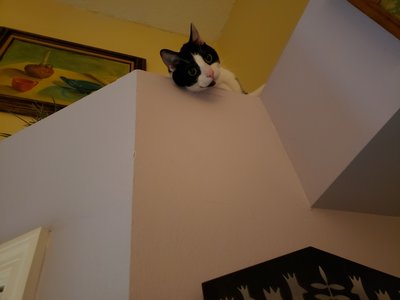 20190326_061524.jpg