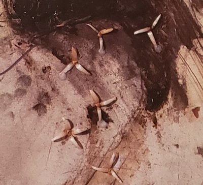 20190409_192501.jpg