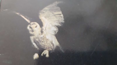 20190525_092016a.jpg