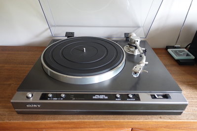 sonyx50_1.jpg