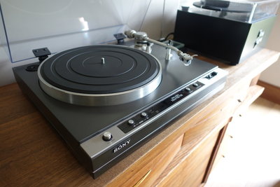sonyx50_2.jpg