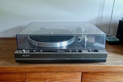 sonyx50_3.jpg