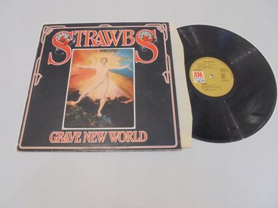 STRAWBS-Grave-new-world-UK.jpg