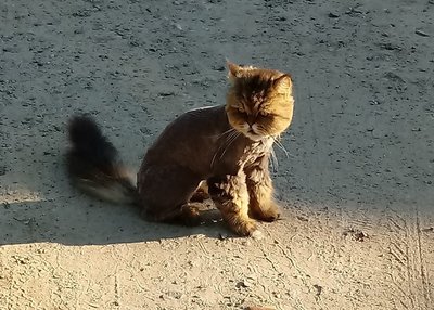 20190714_185154.jpg
