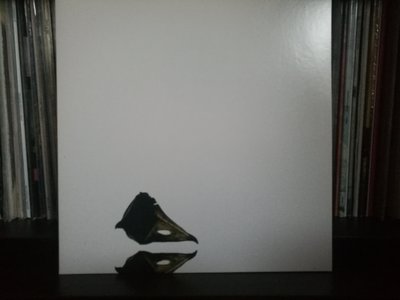 Coil ‎– The New Backwards.jpg