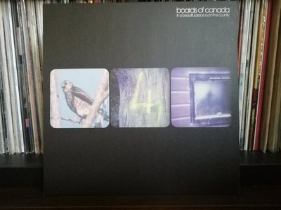 Boards Of Canada ‎– In A Beautiful Place Out In The Country.jpg