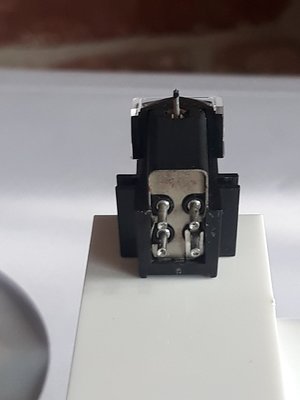 20190718_155211.jpg