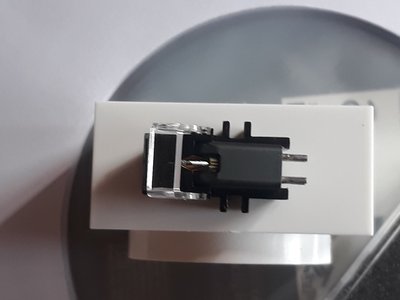 20190718_155321.jpg