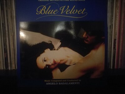 blue velvet.jpg